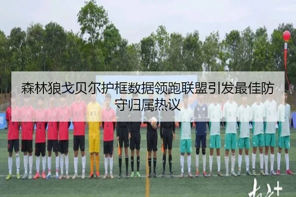 森林狼戈贝尔护框数据领跑联盟引发最佳防守归属热议 | leyu