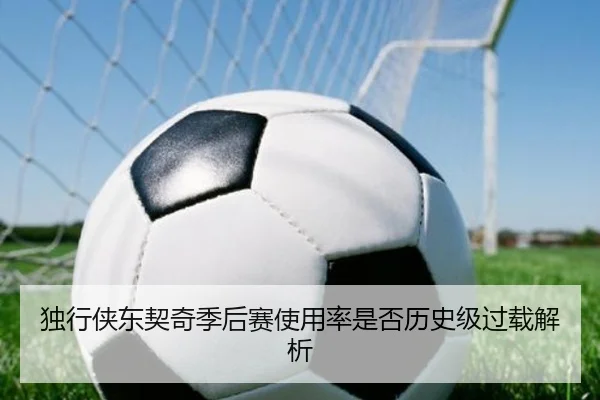 独行侠东契奇季后赛使用率是否历史级过载解析 | leyu