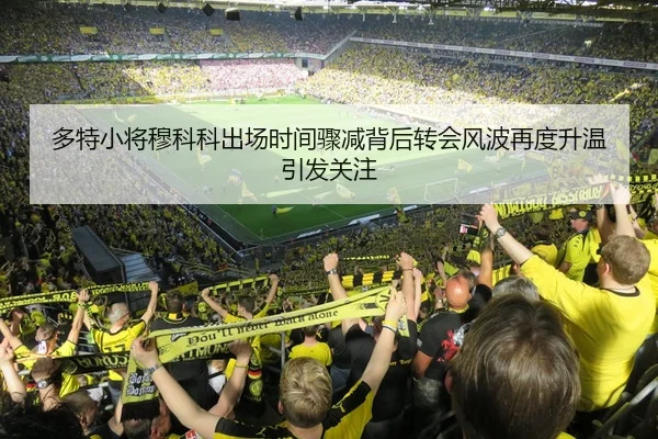 多特小将穆科科出场时间骤减背后转会风波再度升温引发关注 | leyu