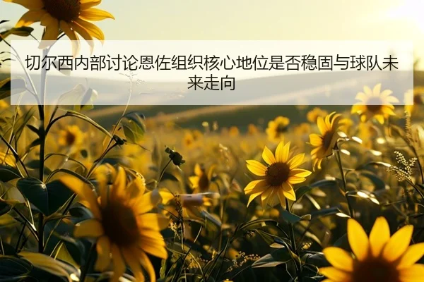 切尔西内部讨论恩佐组织核心地位是否稳固与球队未来走向 | leyu