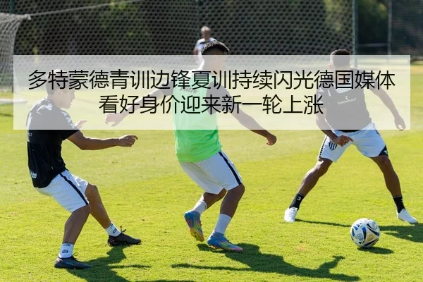 多特蒙德青训边锋夏训持续闪光德国媒体看好身价迎来新一轮上涨 | leyu